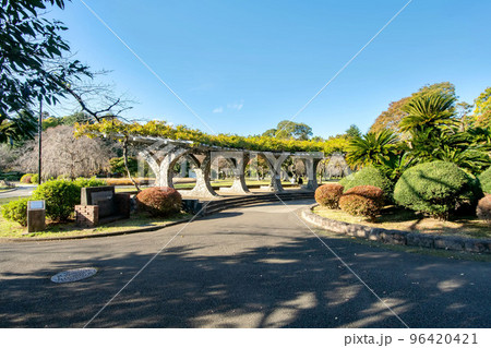 千葉県市原市の里見公園と国府台城跡 96420421