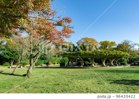 千葉県市原市の里見公園と国府台城跡 千葉県市原市の里見公園と国府台城跡 96420422