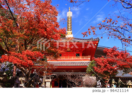 朝護孫子寺(奈良県生駒郡)境内の紅葉 朝護孫子寺(奈良県生駒郡)境内の紅葉 96421114
