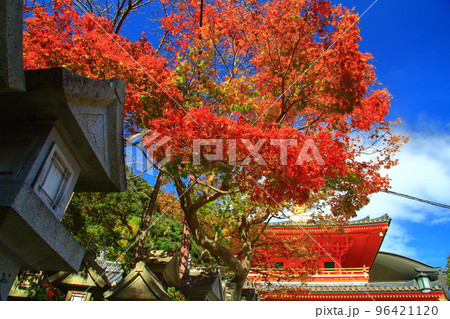 朝護孫子寺（奈良県生駒郡）境内の紅葉 96421120