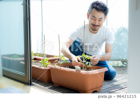 ベランダ菜園を楽しむ男性 96421215