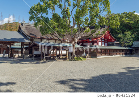 福岡 宗像大社 本殿 福岡 宗像大社 本殿 96421524