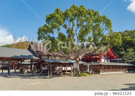 福岡 宗像大社 本殿 福岡 宗像大社 本殿 96421525