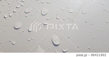 closeup nature view of green leaf and palms background. tropical plants, tropical leaf closeup nature view of green leaf and palms background. tropical plants, tropical leaf 96421902