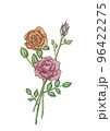 薔薇 96422275