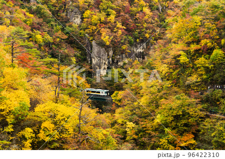 【秋の名所・鳴子峡】紅葉の中を進む電車（宮城県・大崎市） 96422310