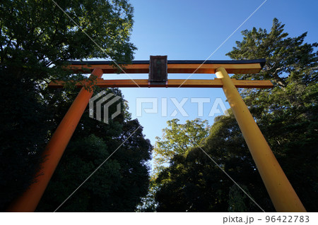 大きな鳥居（橙） 96422783