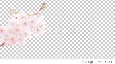 桜 イラスト リアル 背景 96423264