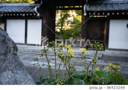 博多旧市街寺社巡り 【福岡県】 96423299