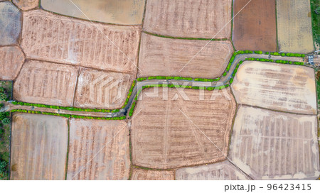 Khmer pagoda between rice fields in An Giang, Vietnam Khmer pagoda between rice fields in An Giang, Vietnam 96423415
