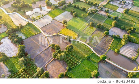 Ta Pa rice fields are beautiful in the morning Ta Pa rice fields are beautiful in the morning 96423492