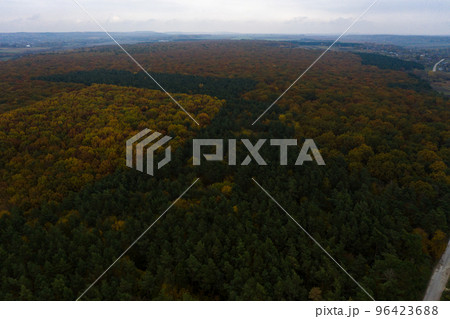 Photo of the forest taken by a drone, a beautiful autumn landscape of deciduous forest in the Ternopil region of Ukraine. 96423688