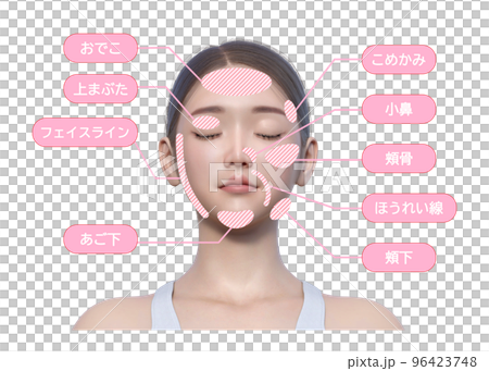 女性が改善したい顔の悩み 施術部位 ナチュラルで自然な日本人3Dモデル女性のイラスト 96423748