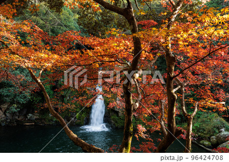 紅葉と観音滝 96424708