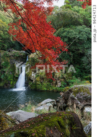 紅葉と観音滝 96424713