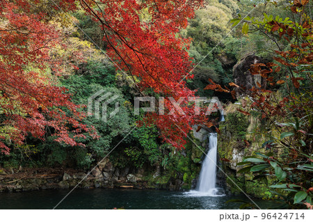 紅葉と観音滝 96424714