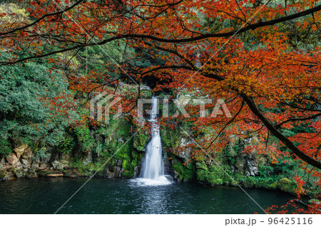 紅葉と観音滝 紅葉と観音滝 96425116