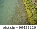 沖縄の海を一部 96425129