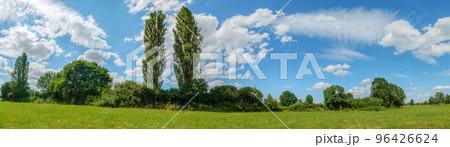 Panorama of a green meadow on a sunny day in spring. Panorama of a green meadow on a sunny day in spring. 96426624