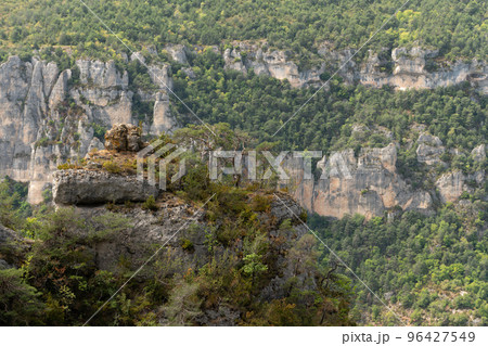 Gorges du Tarn in Cevennes National Park. Gorges du Tarn in Cevennes National Park. 96427549