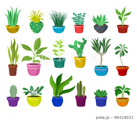 Set of potted plants for home or office interior. Different indoor houseplants cartoon vector 96428022