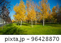 golden autumn in the Moscow park 96428870