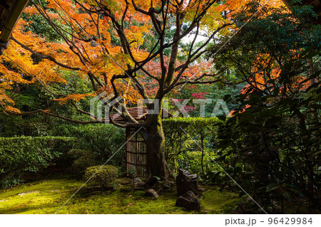 京都洛西の秋 紅葉の桂春院 侘の庭 京都洛西の秋 紅葉の桂春院 侘の庭 96429984