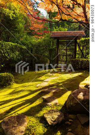京都洛西の秋 紅葉の桂春院 侘の庭 京都洛西の秋 紅葉の桂春院 侘の庭 96430073