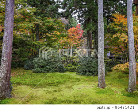 大原三千院（秋季）境内 96431421