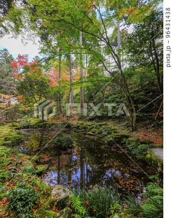 大原三千院（秋季）境内 96431438