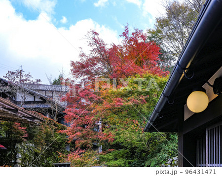 大原三千院(秋季)参道 大原三千院(秋季)参道 96431471