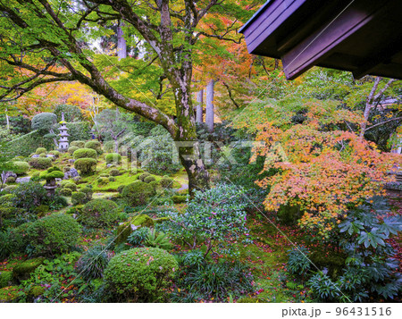 大原三千院(秋季)聚碧園 大原三千院(秋季)聚碧園 96431516