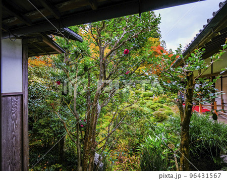 大原三千院（秋季）境内 96431567