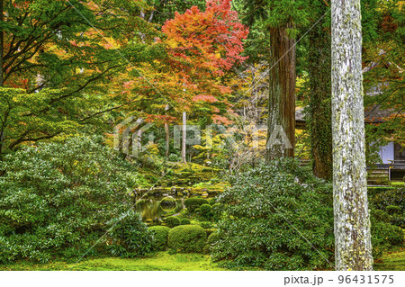 大原三千院（秋季）境内 96431575