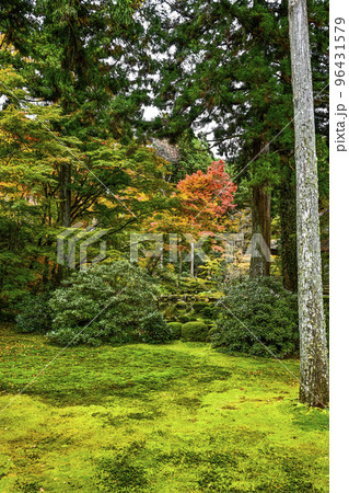 大原三千院(秋季)境内 大原三千院(秋季)境内 96431579