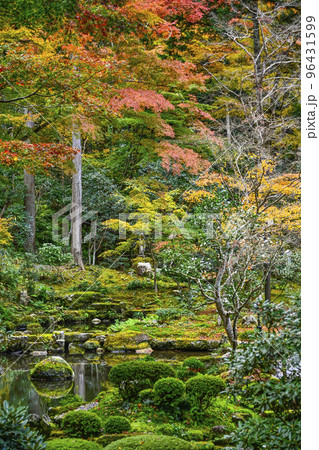 大原三千院（秋季）境内 96431599