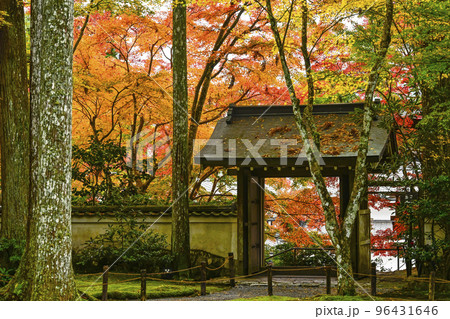 大原三千院(秋季)境内 大原三千院(秋季)境内 96431646