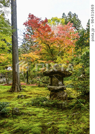 大原三千院(秋季)境内 大原三千院(秋季)境内 96431669