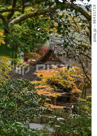 大原三千院（秋季）境内の紅葉 96431719