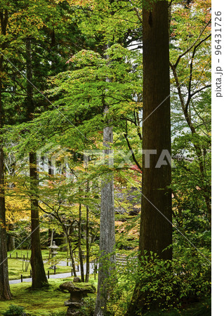 大原三千院(秋季)境内 大原三千院(秋季)境内 96431726