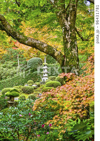 大原三千院(秋季)聚碧園の紅葉 大原三千院(秋季)聚碧園の紅葉 96431781