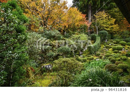 大原三千院(秋季)聚碧園 大原三千院(秋季)聚碧園 96431816