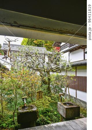 大原三千院(秋季)境内 大原三千院(秋季)境内 96431819