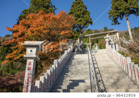 大山阿夫利神社 紅葉 神奈川県伊勢原市 大山阿夫利神社 紅葉 神奈川県伊勢原市 96432959