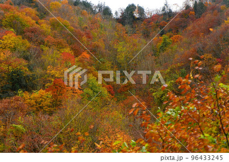 紅葉に色づいた山 96433245