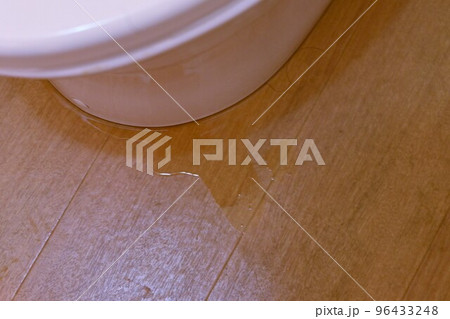 洋式水洗トイレの故障修理工事 洋式水洗トイレの故障修理工事 96433248