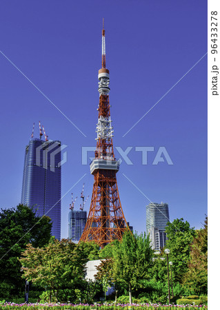 東京タワー 港区立芝公園からの風景 東京タワー 港区立芝公園からの風景 96433278