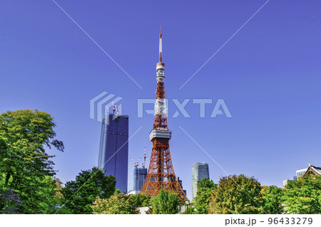 東京タワー プリンス芝公園からの風景 東京タワー プリンス芝公園からの風景 96433279