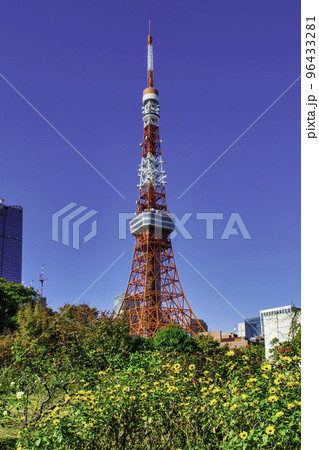 東京タワー　プリンス芝公園からの風景 96433281