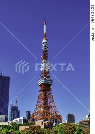 東京タワー　プリンス芝公園からの風景 96433603